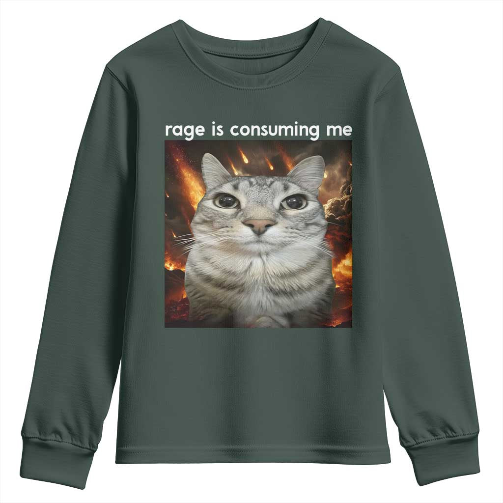 Rage Is Consuming Me Cat Youth Sweatshirt Funny Weird Humor Silly Cat Meme TS10 Dark Forest Green Print Your Wear