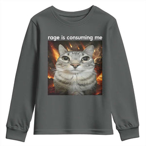 Rage Is Consuming Me Cat Youth Sweatshirt Funny Weird Humor Silly Cat Meme TS10 Dark Heather Print Your Wear