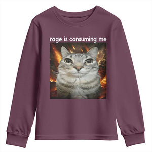 Rage Is Consuming Me Cat Youth Sweatshirt Funny Weird Humor Silly Cat Meme TS10 Maroon Print Your Wear