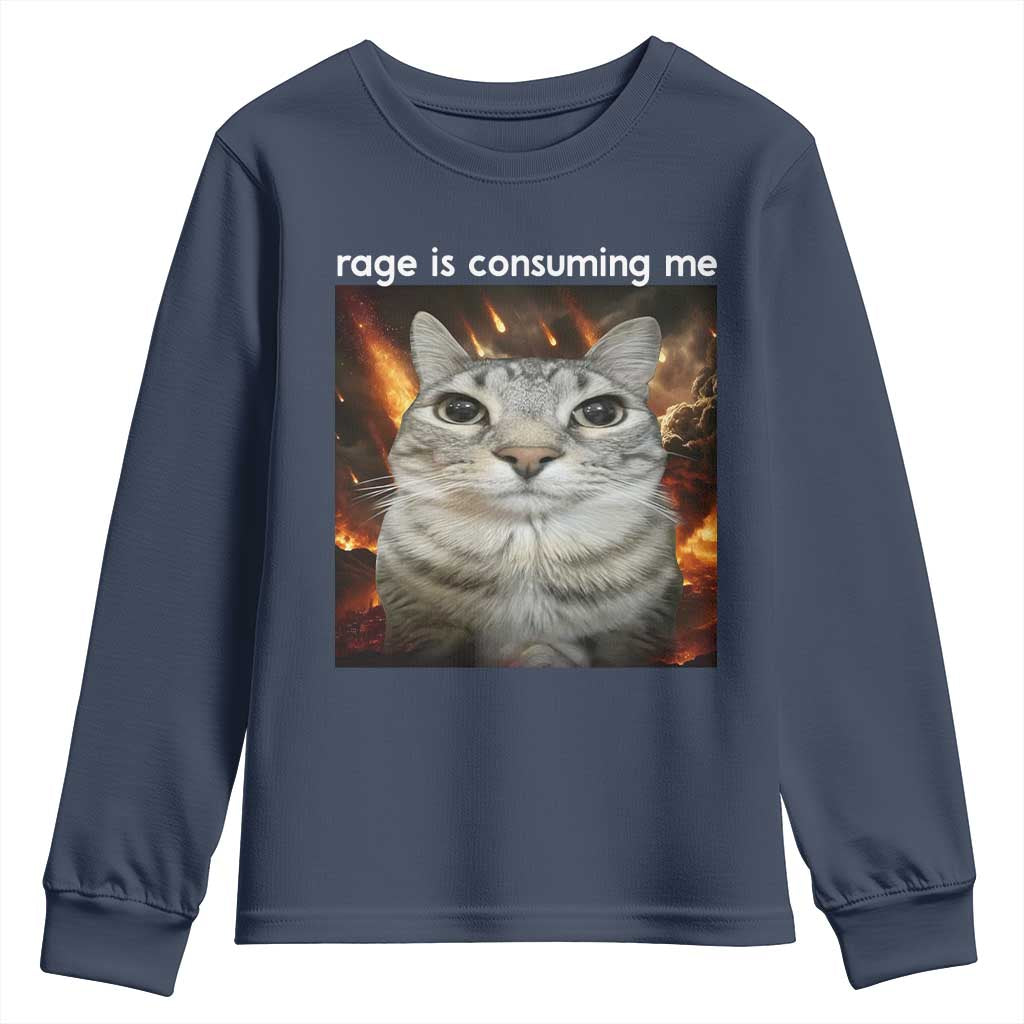 Rage Is Consuming Me Cat Youth Sweatshirt Funny Weird Humor Silly Cat Meme TS10 Navy Print Your Wear
