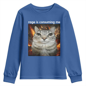Rage Is Consuming Me Cat Youth Sweatshirt Funny Weird Humor Silly Cat Meme TS10 Royal Blue Print Your Wear