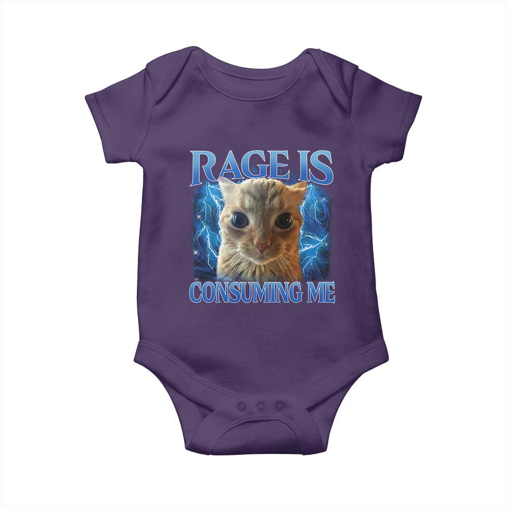 Rage Is Consuming Me Cat Meme Baby Onesie Funny Weird Humor Cat Face Bootleg TS10 Purple Print Your Wear
