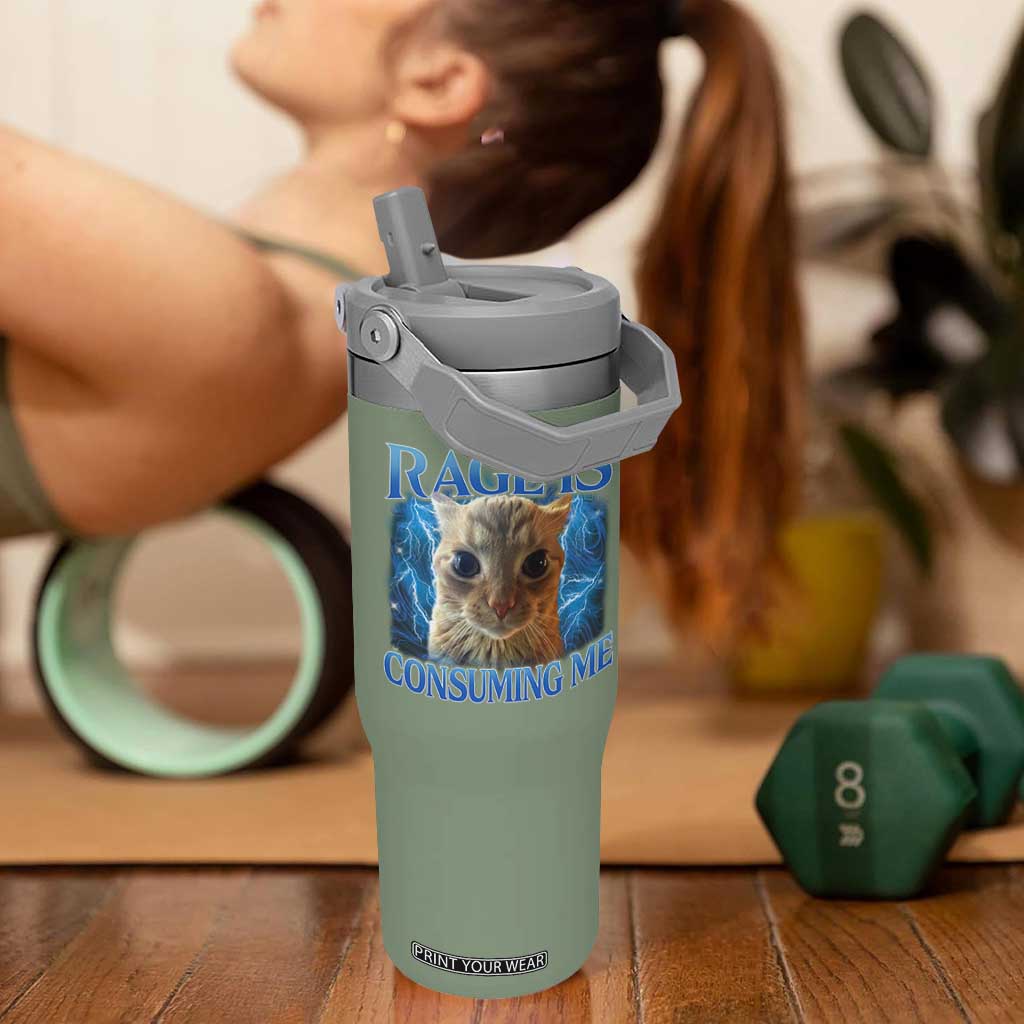 Rage Is Consuming Me Cat Meme Flip Straw Tumbler Funny Weird Humor Cat Face Bootleg TS10 One Size: 30 oz Moss Green Print Your Wear