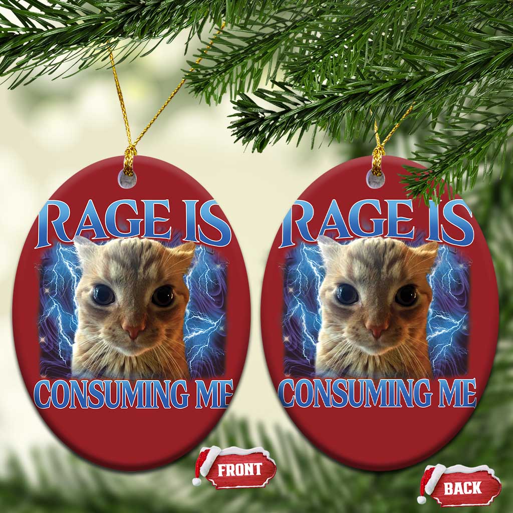 Rage Is Consuming Me Cat Meme Christmas Ornament Funny Weird Humor Cat Face Bootleg TS10 Oval Red Print Your Wear