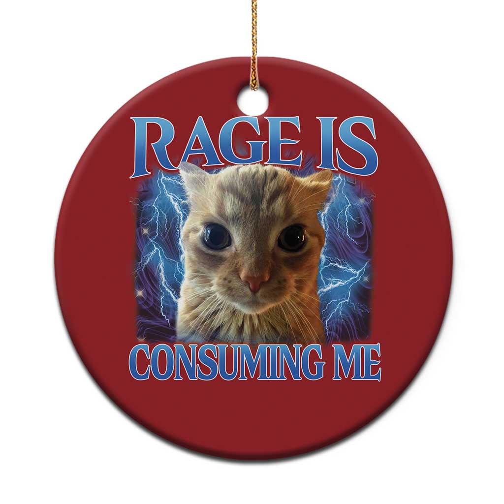 Rage Is Consuming Me Cat Meme Christmas Ornament Funny Weird Humor Cat Face Bootleg TS10 Print Your Wear