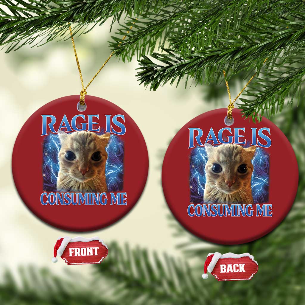 Rage Is Consuming Me Cat Meme Christmas Ornament Funny Weird Humor Cat Face Bootleg TS10 Circle Red Print Your Wear