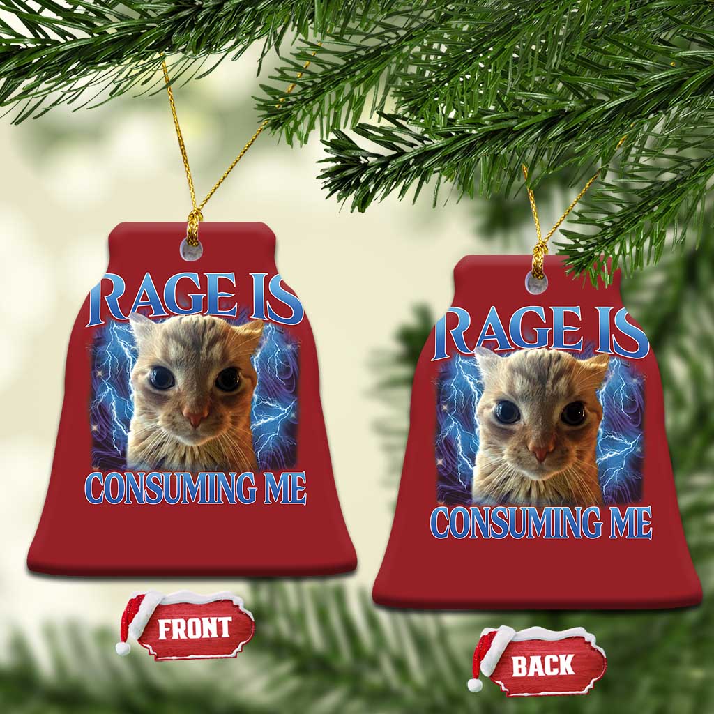 Rage Is Consuming Me Cat Meme Christmas Ornament Funny Weird Humor Cat Face Bootleg TS10 Bell Flake Red Print Your Wear