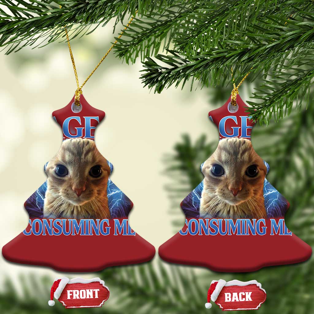 Rage Is Consuming Me Cat Meme Christmas Ornament Funny Weird Humor Cat Face Bootleg TS10 Christmas Tree Red Print Your Wear