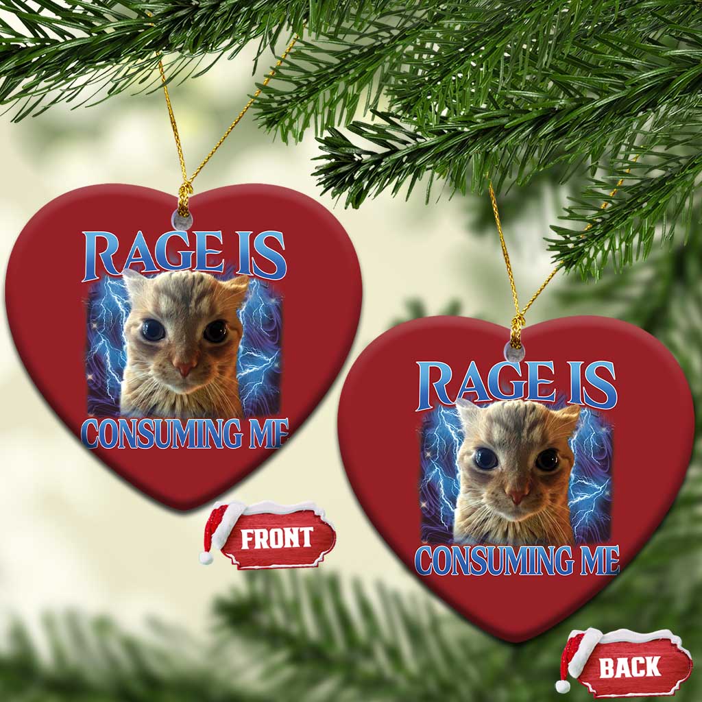 Rage Is Consuming Me Cat Meme Christmas Ornament Funny Weird Humor Cat Face Bootleg TS10 Heart Red Print Your Wear