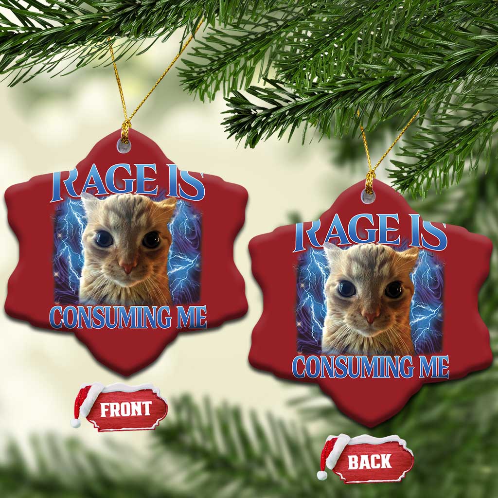 Rage Is Consuming Me Cat Meme Christmas Ornament Funny Weird Humor Cat Face Bootleg TS10 Snow Flake Red Print Your Wear