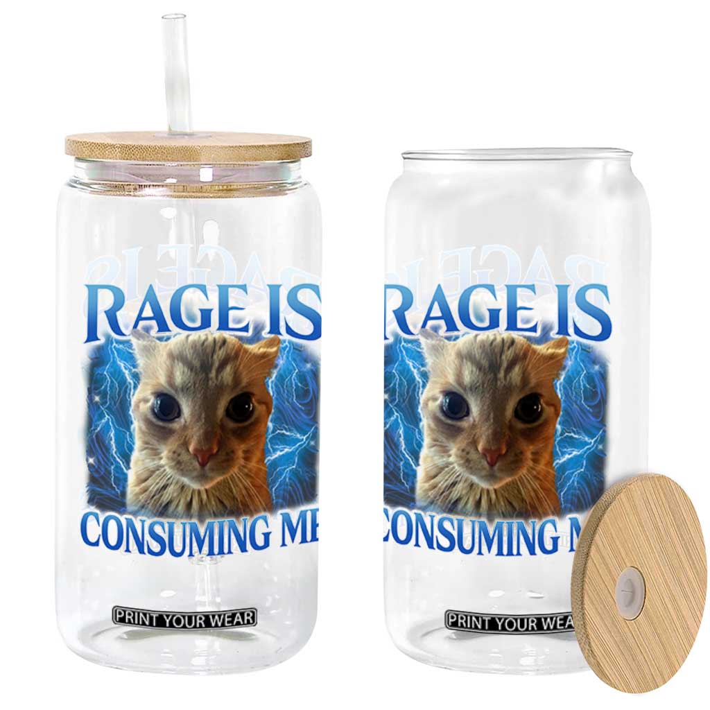 Rage Is Consuming Me Cat Meme Glass Can Funny Weird Humor Cat Face Bootleg TS10 Print Your Wear