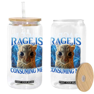 Rage Is Consuming Me Cat Meme Glass Can Funny Weird Humor Cat Face Bootleg TS10 Print Your Wear