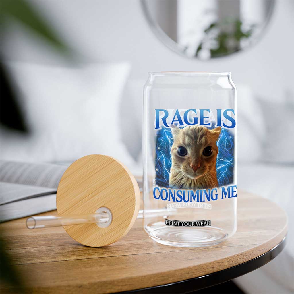 Rage Is Consuming Me Cat Meme Glass Can Funny Weird Humor Cat Face Bootleg TS10 Print Your Wear
