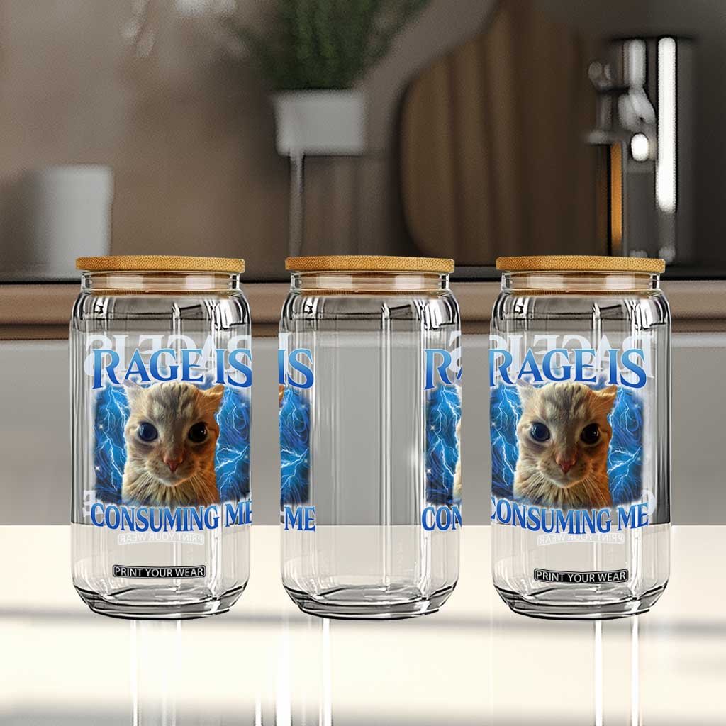 Rage Is Consuming Me Cat Meme Glass Can Funny Weird Humor Cat Face Bootleg TS10 Print Your Wear