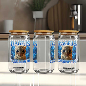 Rage Is Consuming Me Cat Meme Glass Can Funny Weird Humor Cat Face Bootleg TS10 Print Your Wear