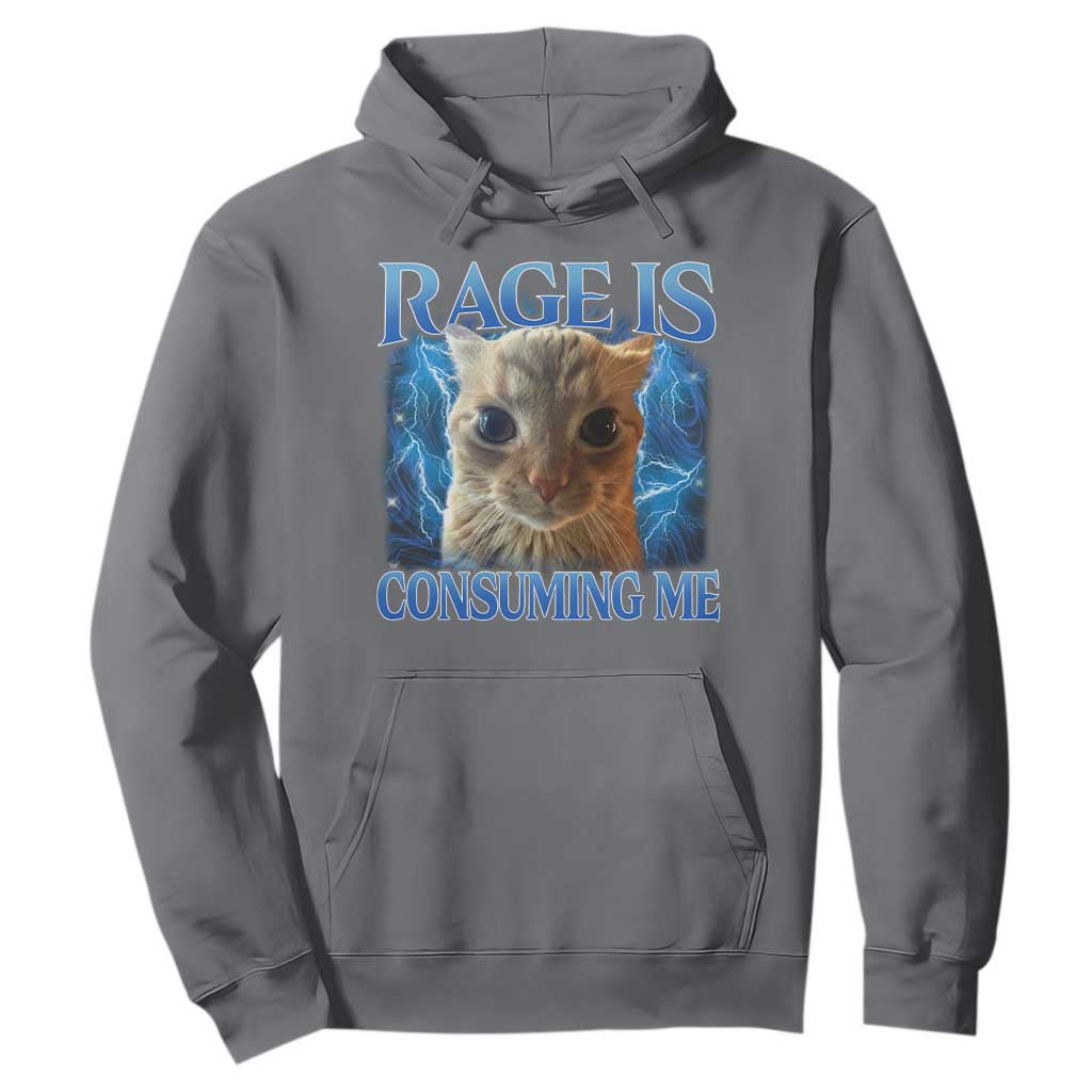 Rage Is Consuming Me Cat Meme Hoodie Funny Weird Humor Cat Face Bootleg TS10 Charcoal Print Your Wear