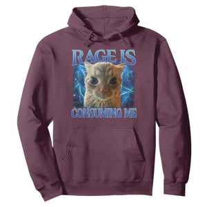 Rage Is Consuming Me Cat Meme Hoodie Funny Weird Humor Cat Face Bootleg TS10 Maroon Print Your Wear