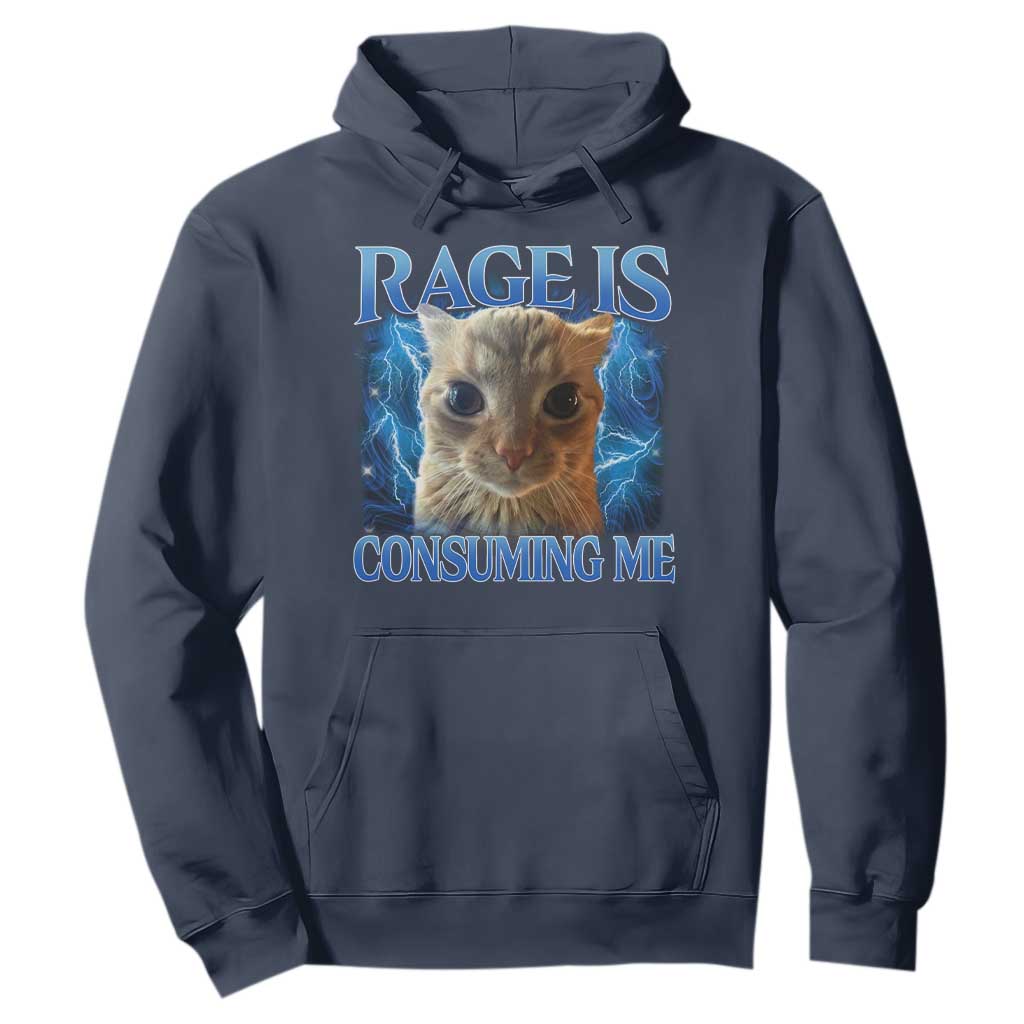 Rage Is Consuming Me Cat Meme Hoodie Funny Weird Humor Cat Face Bootleg TS10 Navy Print Your Wear