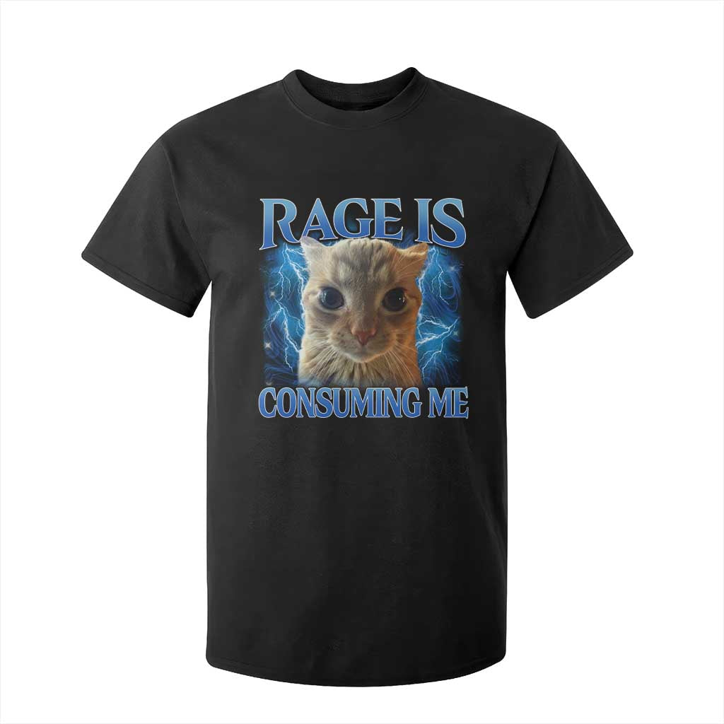 Rage Is Consuming Me Cat Meme T Shirt For Kid Funny Weird Humor Cat Face Bootleg TS10 Black Print Your Wear