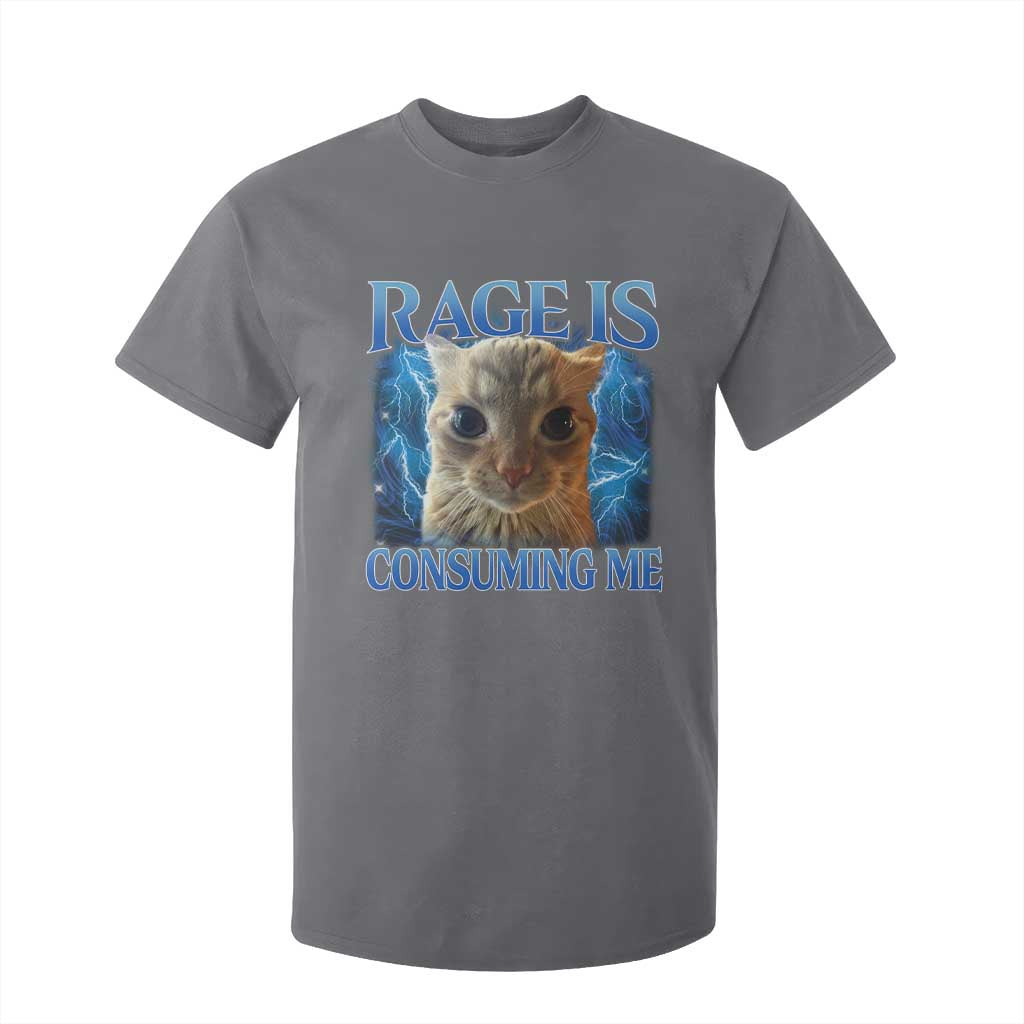 Rage Is Consuming Me Cat Meme T Shirt For Kid Funny Weird Humor Cat Face Bootleg TS10 Charcoal Print Your Wear