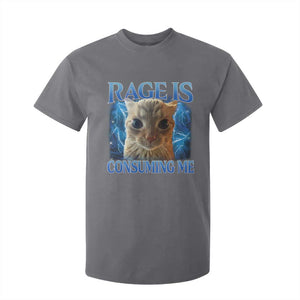 Rage Is Consuming Me Cat Meme T Shirt For Kid Funny Weird Humor Cat Face Bootleg TS10 Charcoal Print Your Wear
