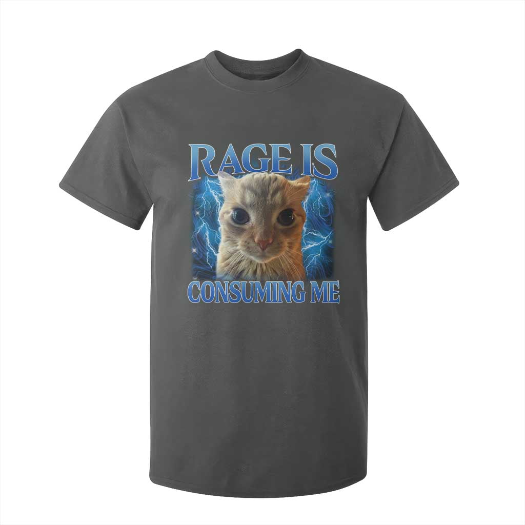 Rage Is Consuming Me Cat Meme T Shirt For Kid Funny Weird Humor Cat Face Bootleg TS10 Dark Heather Print Your Wear