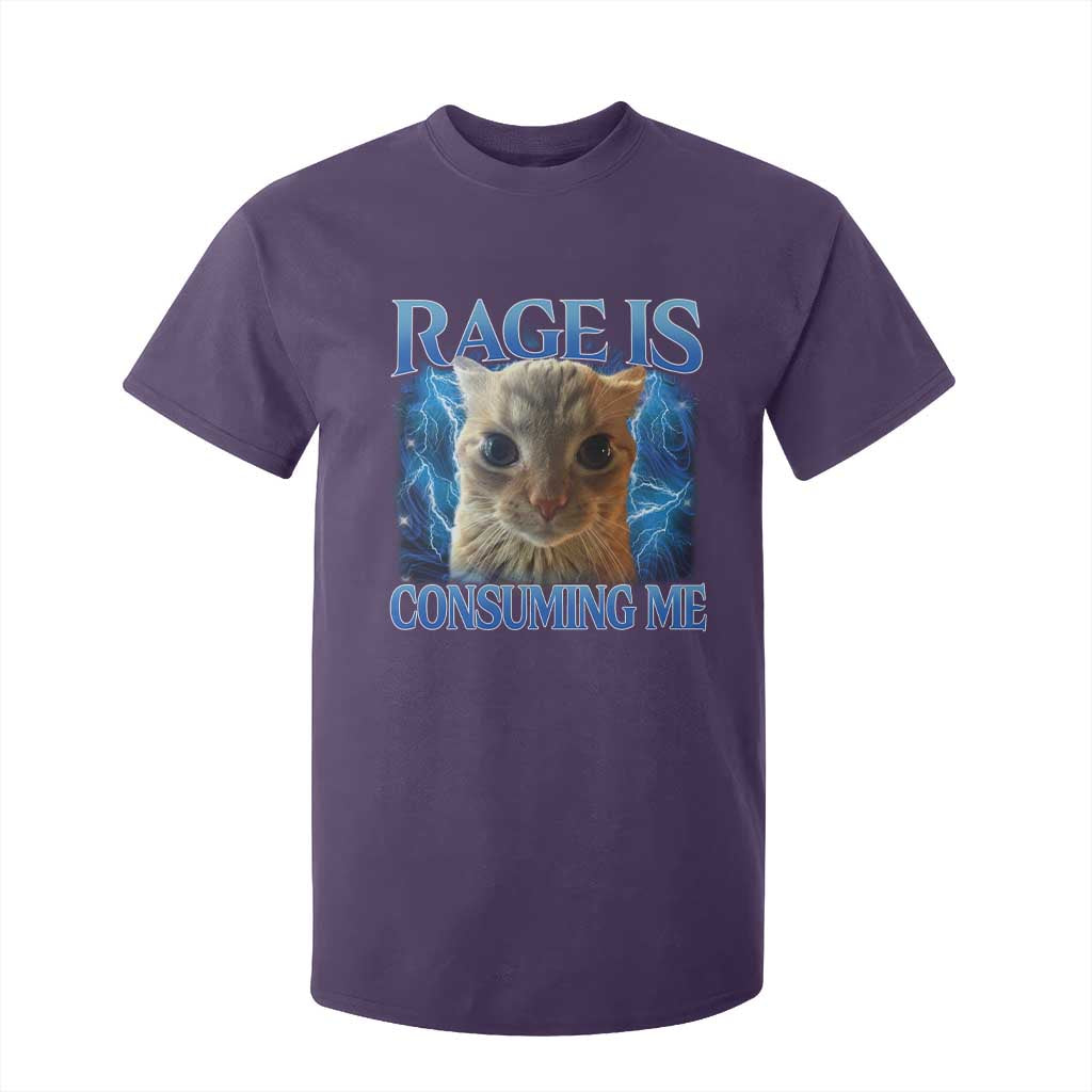 Rage Is Consuming Me Cat Meme T Shirt For Kid Funny Weird Humor Cat Face Bootleg TS10 Purple Print Your Wear