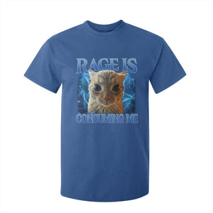 Rage Is Consuming Me Cat Meme T Shirt For Kid Funny Weird Humor Cat Face Bootleg TS10 Royal Blue Print Your Wear