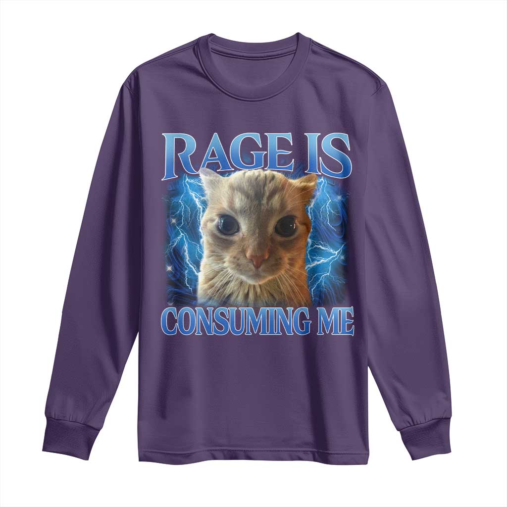 Rage Is Consuming Me Cat Meme Long Sleeve Shirt Funny Weird Humor Cat Face Bootleg TS10 Purple Print Your Wear