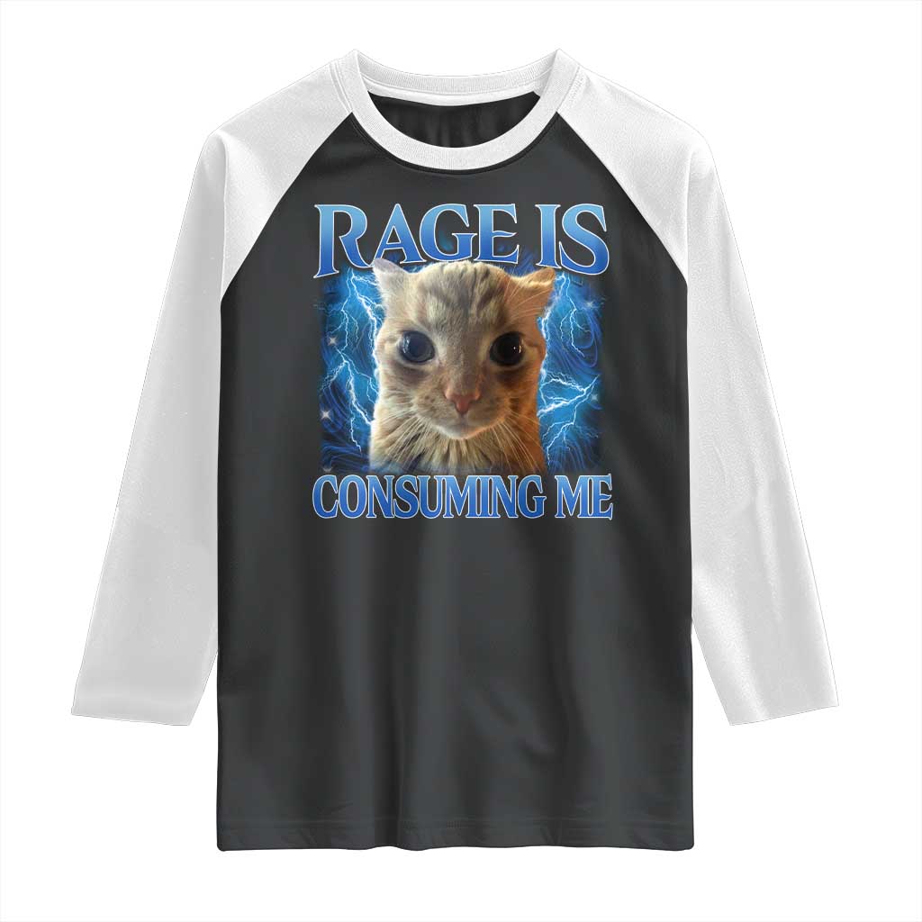 Rage Is Consuming Me Cat Meme Raglan Shirt Funny Weird Humor Cat Face Bootleg TS10 Black White Print Your Wear