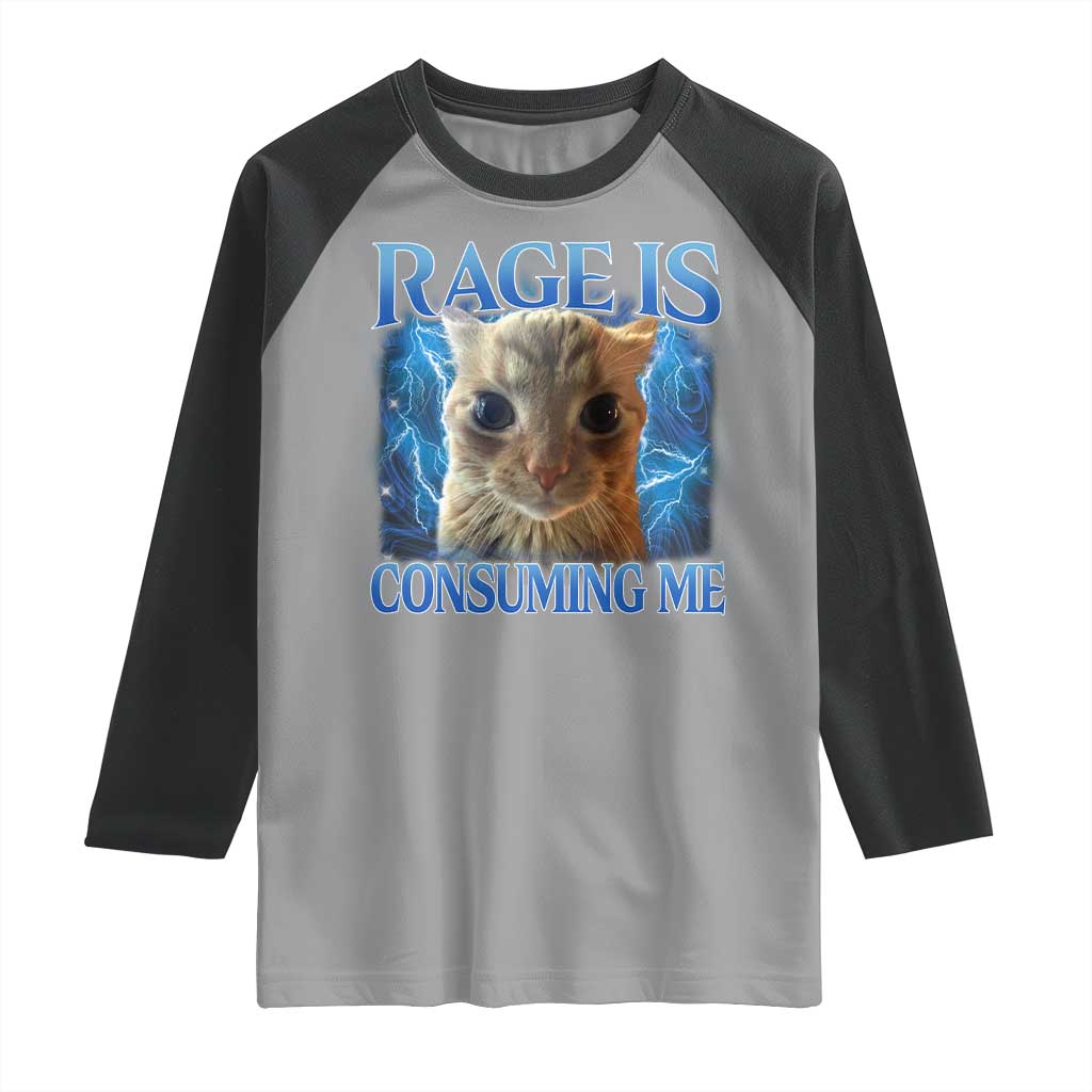 Rage Is Consuming Me Cat Meme Raglan Shirt Funny Weird Humor Cat Face Bootleg TS10 Sport Gray Black Print Your Wear