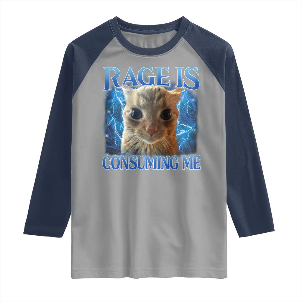 Rage Is Consuming Me Cat Meme Raglan Shirt Funny Weird Humor Cat Face Bootleg TS10 Sport Gray Navy Print Your Wear