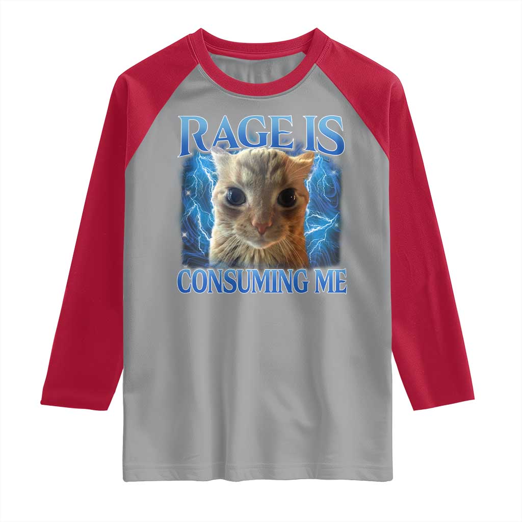 Rage Is Consuming Me Cat Meme Raglan Shirt Funny Weird Humor Cat Face Bootleg TS10 Sport Gray Red Print Your Wear