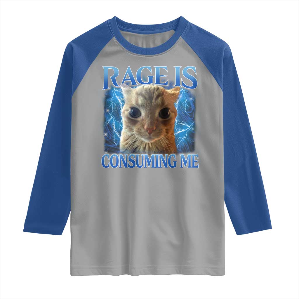 Rage Is Consuming Me Cat Meme Raglan Shirt Funny Weird Humor Cat Face Bootleg TS10 Sport Gray Royal Print Your Wear