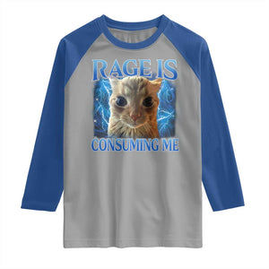 Rage Is Consuming Me Cat Meme Raglan Shirt Funny Weird Humor Cat Face Bootleg TS10 Sport Gray Royal Print Your Wear