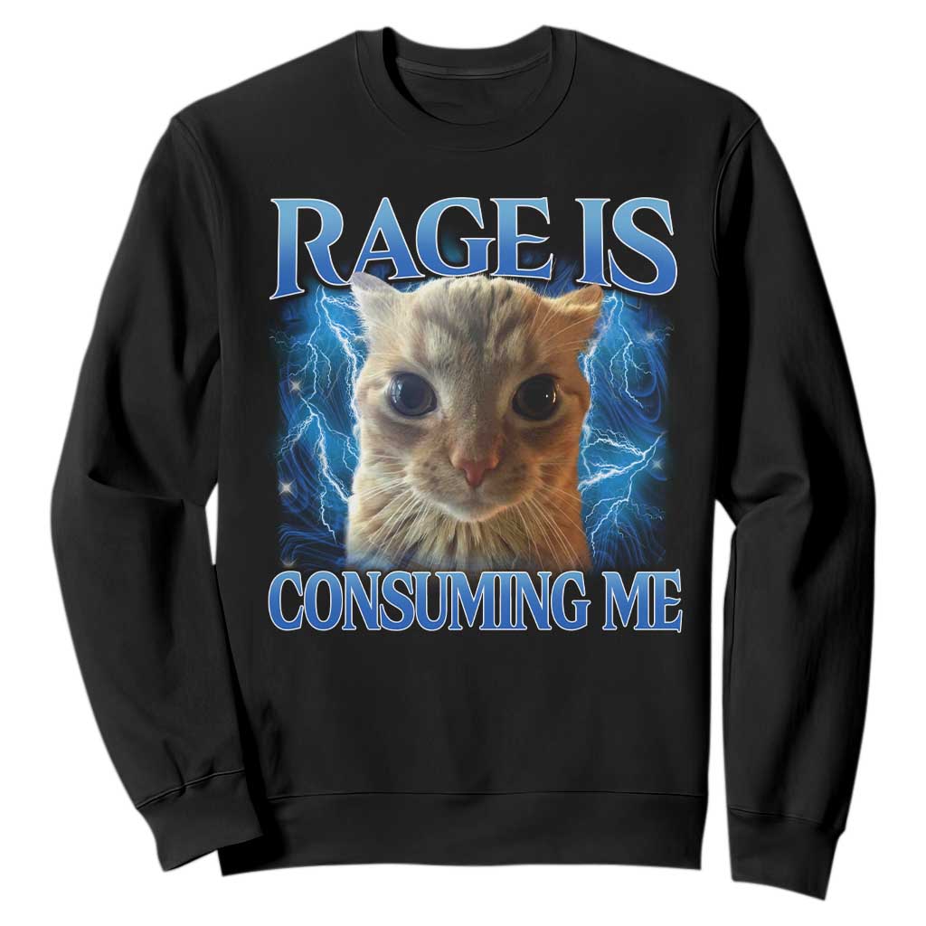 Rage Is Consuming Me Cat Meme Sweatshirt Funny Weird Humor Cat Face Bootleg TS10 Black Print Your Wear