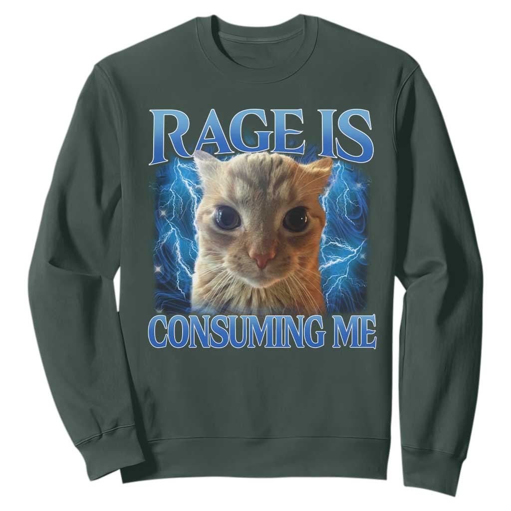 Rage Is Consuming Me Cat Meme Sweatshirt Funny Weird Humor Cat Face Bootleg TS10 Dark Forest Green Print Your Wear