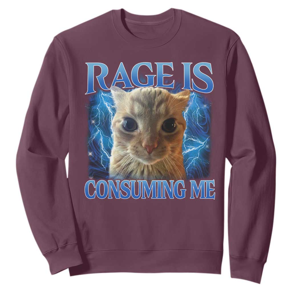 Rage Is Consuming Me Cat Meme Sweatshirt Funny Weird Humor Cat Face Bootleg TS10 Maroon Print Your Wear