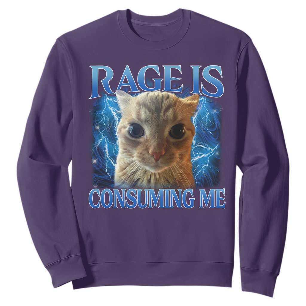 Rage Is Consuming Me Cat Meme Sweatshirt Funny Weird Humor Cat Face Bootleg TS10 Purple Print Your Wear