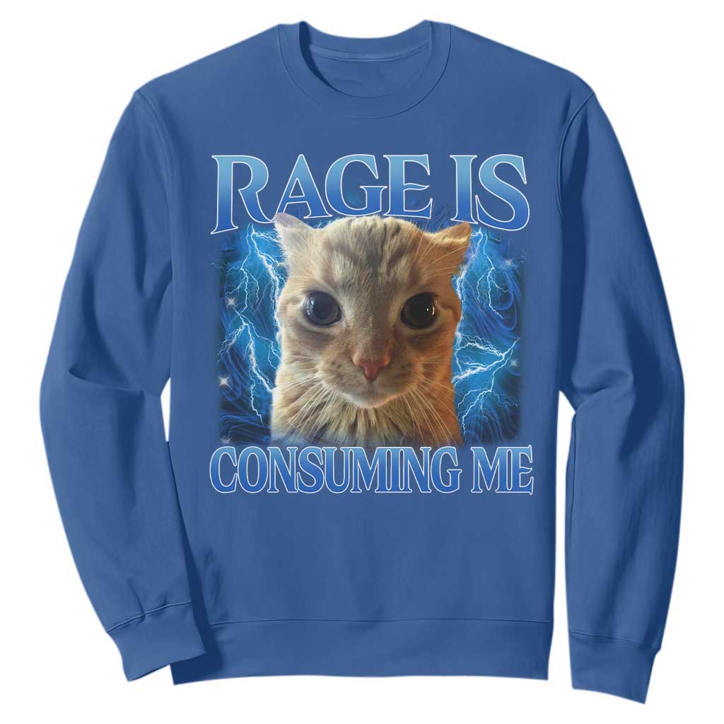Rage Is Consuming Me Cat Meme Sweatshirt Funny Weird Humor Cat Face Bootleg TS10 Royal Blue Print Your Wear