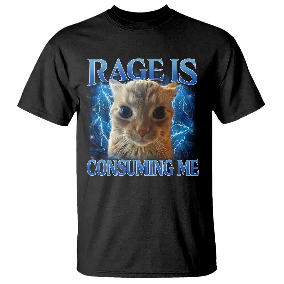 Rage Is Consuming Me Cat Meme T Shirt Funny Weird Humor Cat Face Bootleg TS10 Black Print Your Wear
