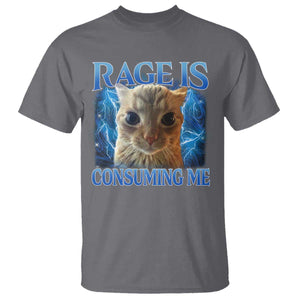Rage Is Consuming Me Cat Meme T Shirt Funny Weird Humor Cat Face Bootleg TS10 Charcoal Print Your Wear
