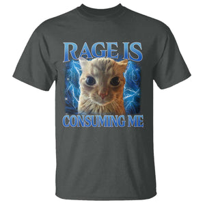 Rage Is Consuming Me Cat Meme T Shirt Funny Weird Humor Cat Face Bootleg TS10 Dark Heather Print Your Wear