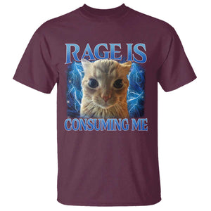Rage Is Consuming Me Cat Meme T Shirt Funny Weird Humor Cat Face Bootleg TS10 Maroon Print Your Wear