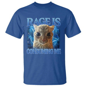 Rage Is Consuming Me Cat Meme T Shirt Funny Weird Humor Cat Face Bootleg TS10 Royal Blue Print Your Wear