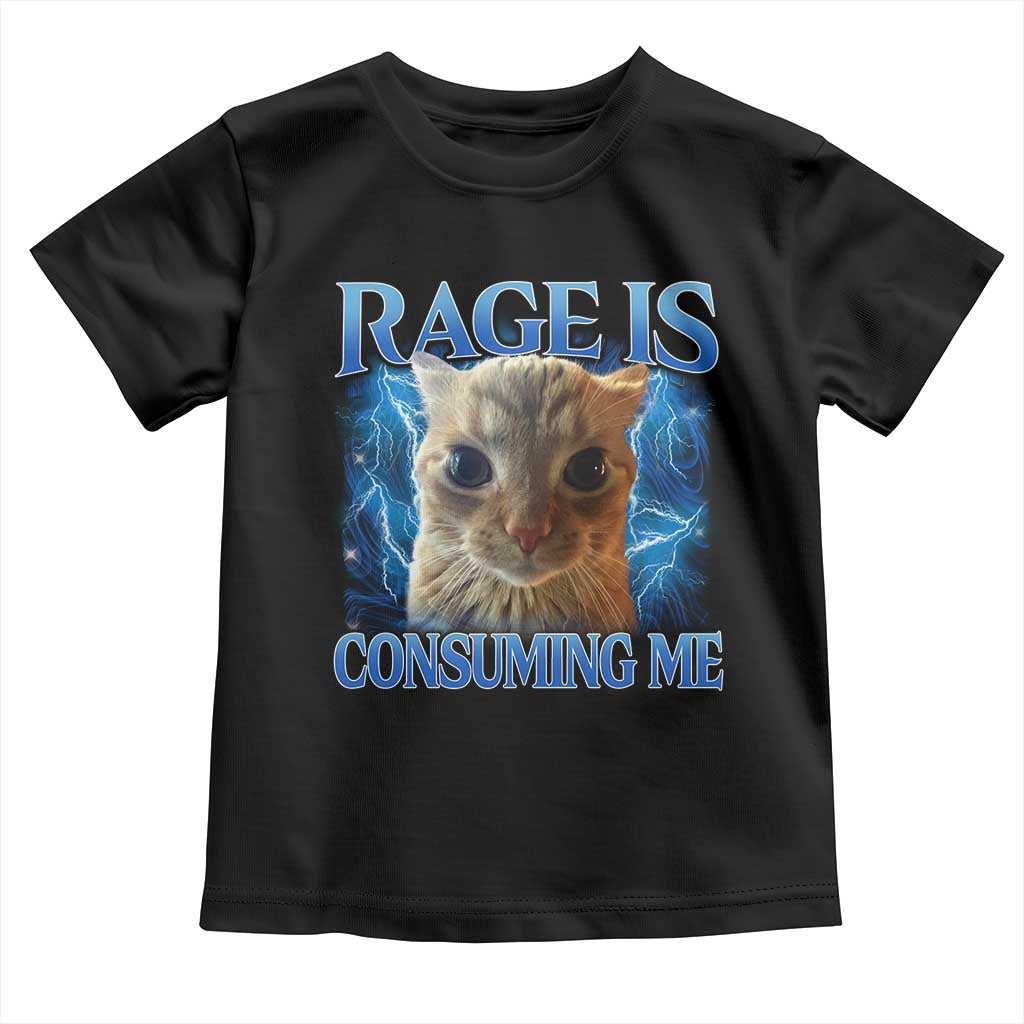 Rage Is Consuming Me Cat Meme Toddler T Shirt Funny Weird Humor Cat Face Bootleg TS10 Black Print Your Wear