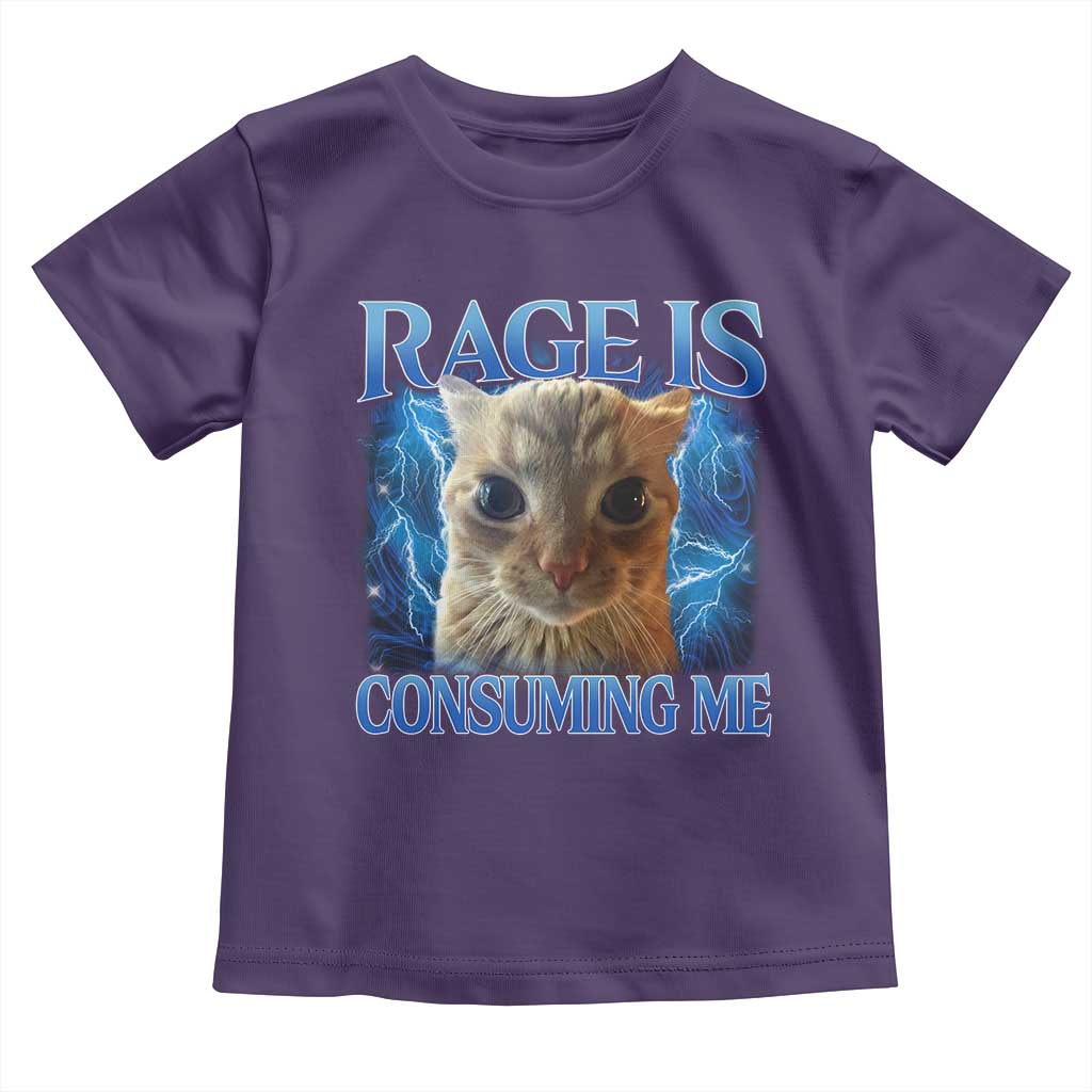 Rage Is Consuming Me Cat Meme Toddler T Shirt Funny Weird Humor Cat Face Bootleg TS10 Purple Print Your Wear