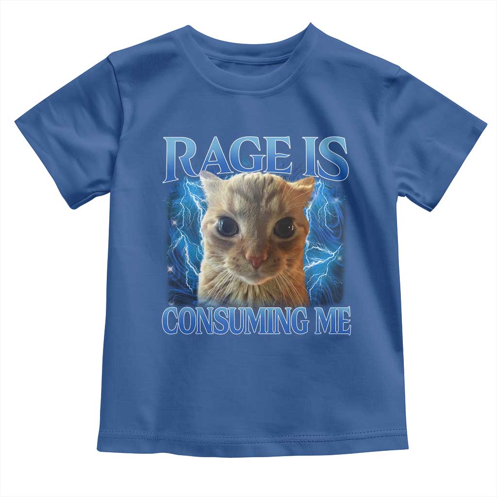 Rage Is Consuming Me Cat Meme Toddler T Shirt Funny Weird Humor Cat Face Bootleg TS10 Royal Blue Print Your Wear