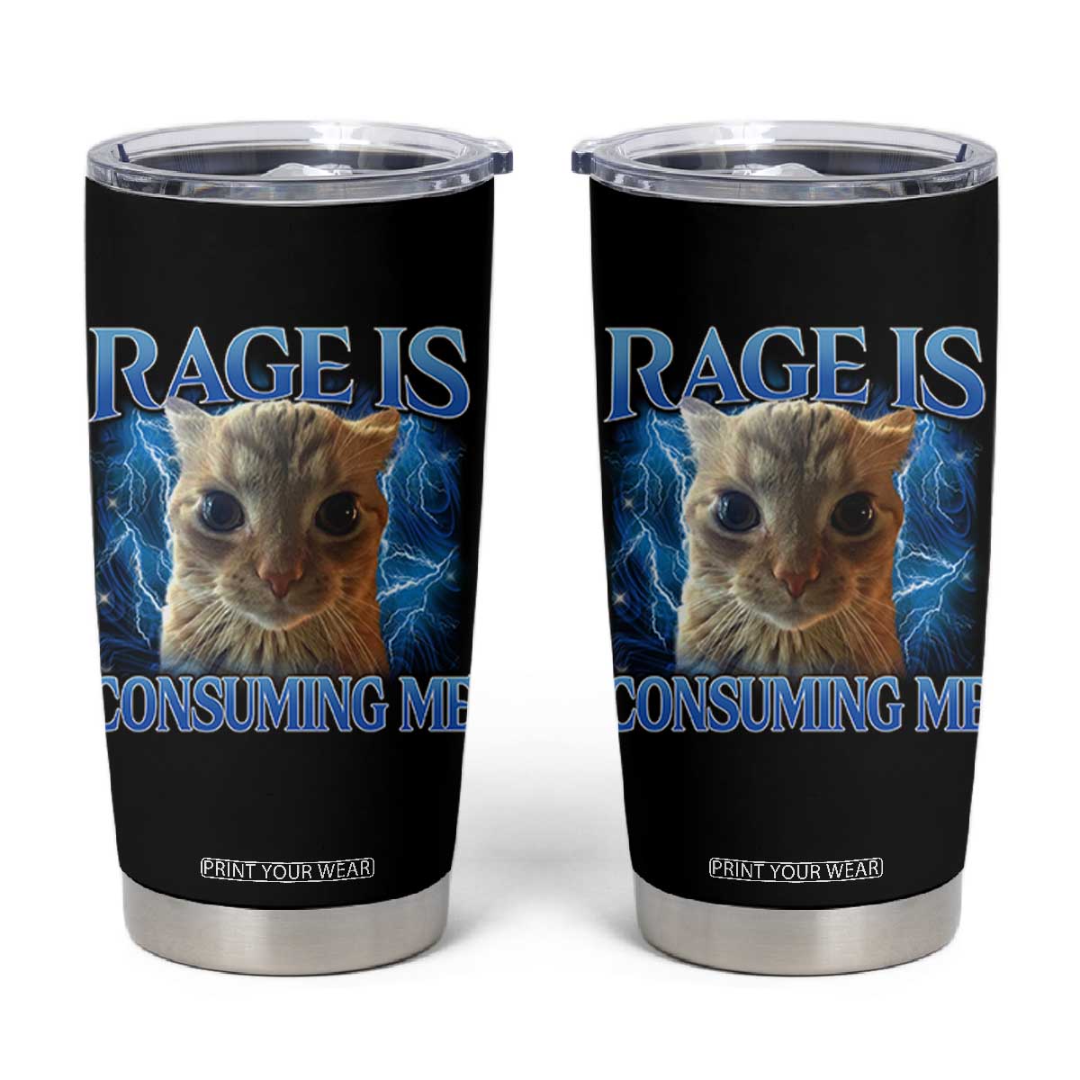 Rage Is Consuming Me Cat Meme Tumbler Cup Funny Weird Humor Cat Face Bootleg TS10 Black Print Your Wear