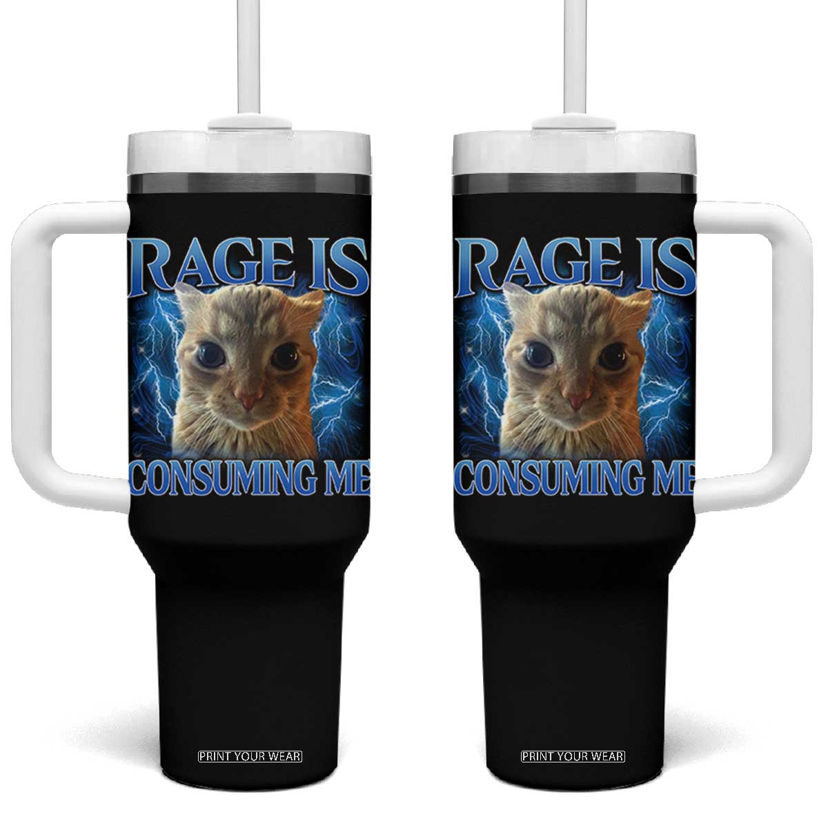 Rage Is Consuming Me Cat Meme Tumbler With Handle Funny Weird Humor Cat Face Bootleg TS10 One Size: 40 oz Black Print Your Wear